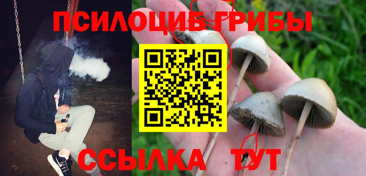 Галлюциногенные грибы ЛСД  Вход с VPN  Зеленодольск 